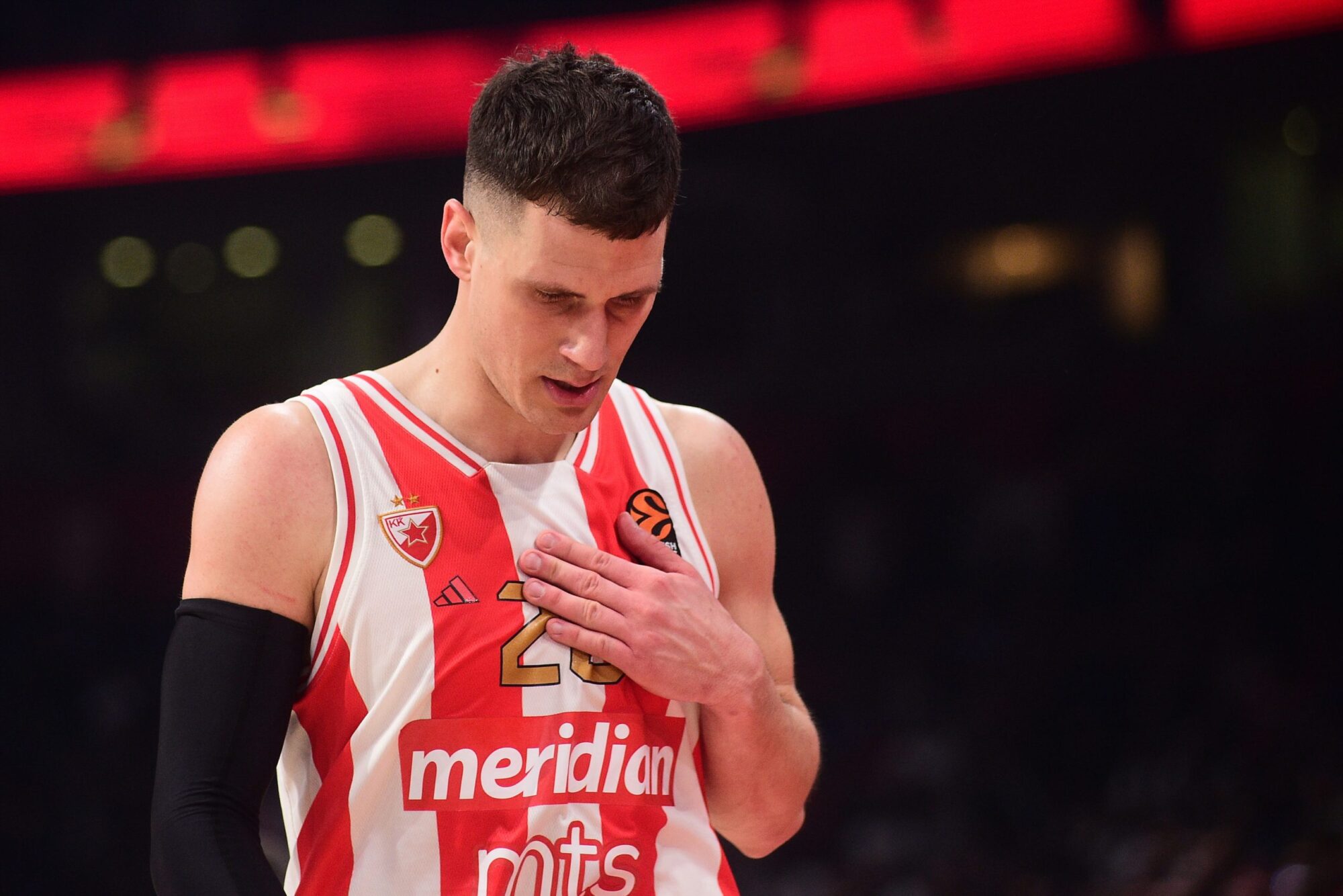 Nemanja Nedović