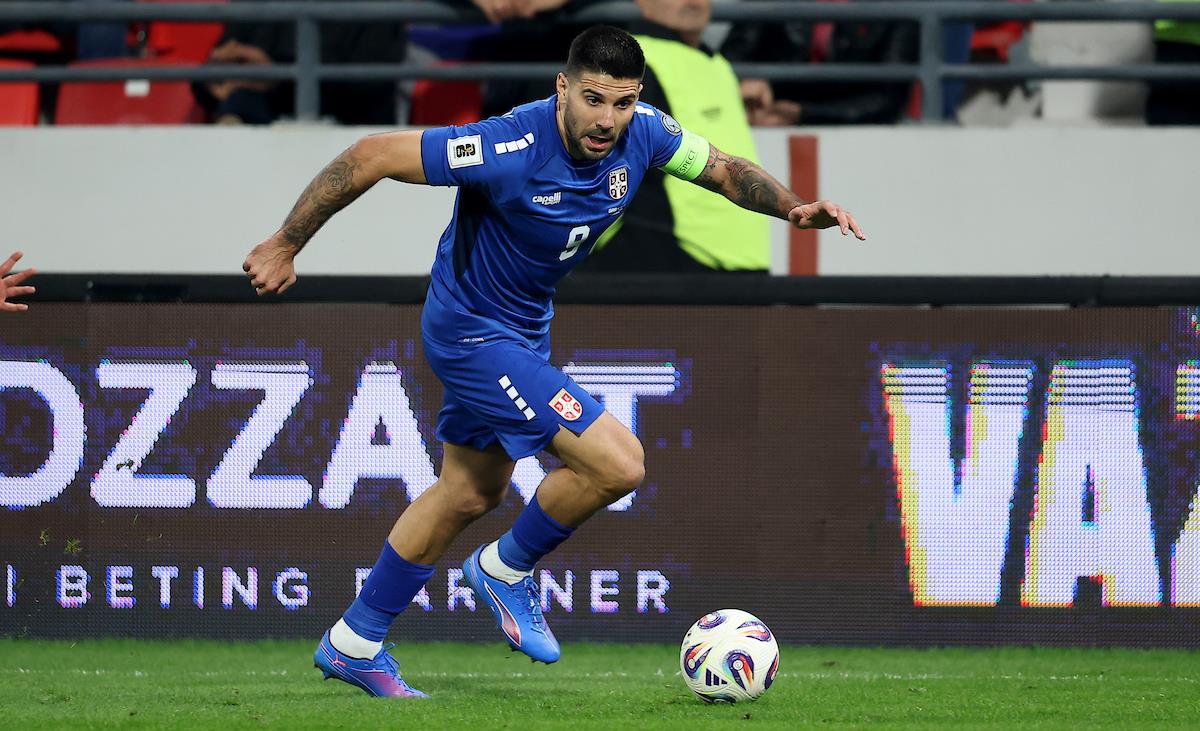 Aleksandar Mitrović