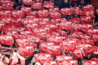 KK Crvena zvezda