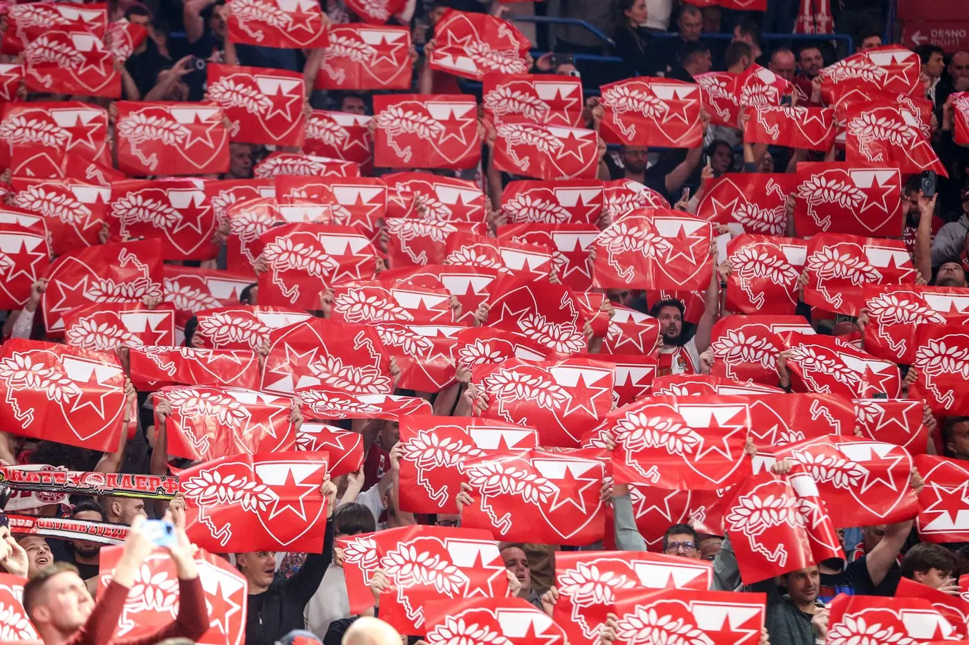 KK Crvena zvezda